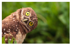 screen-shot-2020-09-22-at-12-43-42-am