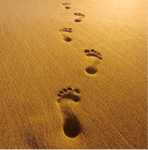 algun-dia-llegaras-2