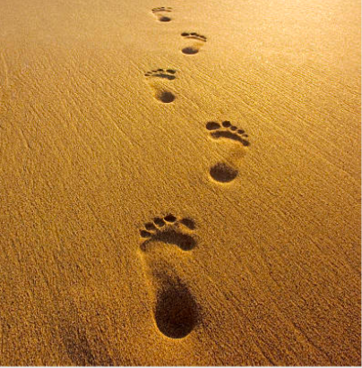 algun-dia-llegaras-2